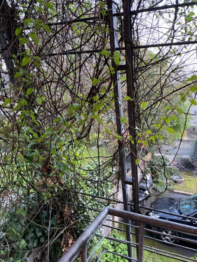 Schoene Wohnung In Zentraler Lage Im Ruhrgebiet Witten Εξωτερικό φωτογραφία
